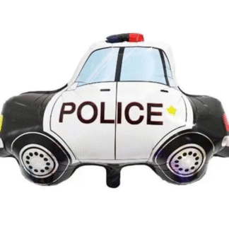 Police Car