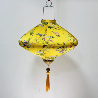 Chinese Lantern - Image 4