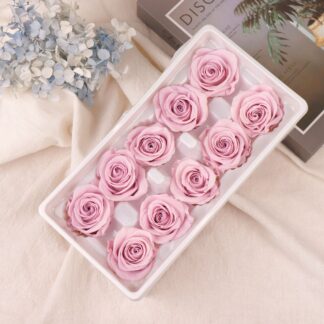 Pink Presserved Rose