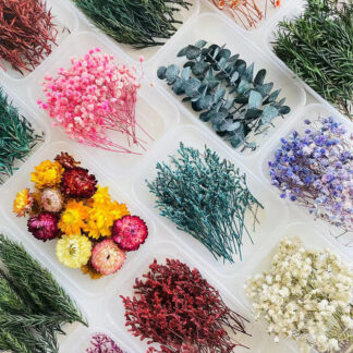 Dried Flower