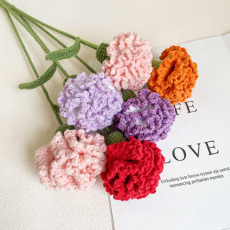Knitting Carnation