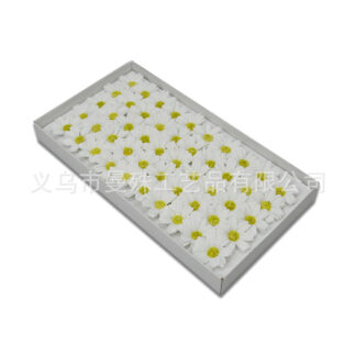 Daisy Soap Flower