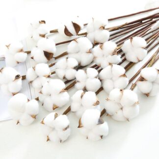 Cotton Flower (10pcs)