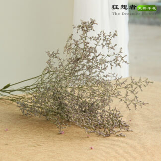 Caspia Dried Flower