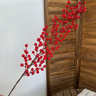Holly Berries