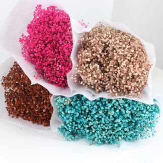 Baby Breath