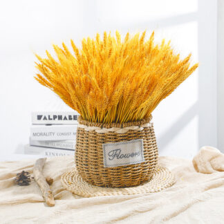 Dried Wheat