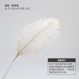 Small White Floral Decorative Feathers (10pcs)