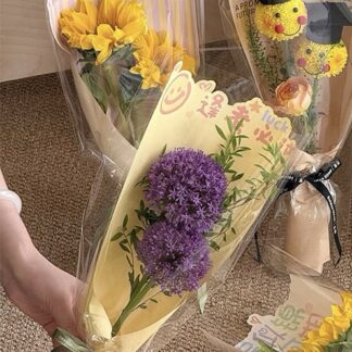 Graduation opp bag(20cm*48cm)