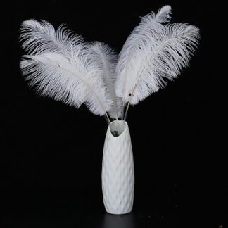 White floral decorative feathers