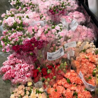 Fresh Flower