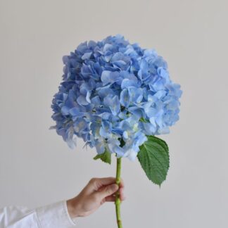 Hydrangea-Dark Blue (per stem)