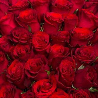 RED ROSE