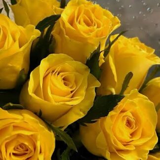 YELLOW ROSE
